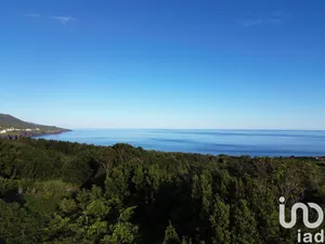 Maison traditionnelle à São Caetano