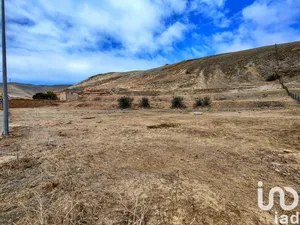 Land  at Porto Santo