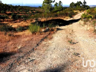 Terreno  em Cebolais de Cima e Retaxo