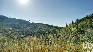 Terrain  à Pedrógão Pequeno