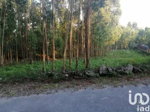 Building plot  at Cardielos e Serreleis