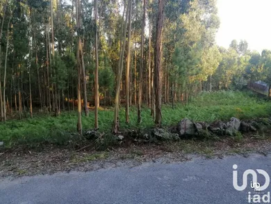 Building plot at Cardielos e Serreleis