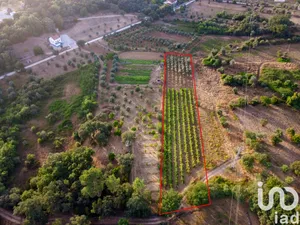 Terreno em Areias e Pias