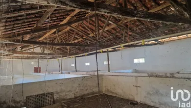 House  in Golpilheira