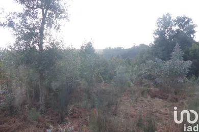 Terrain  à Cavernães