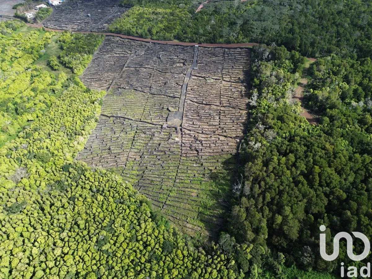 Terreno de 20 010 m² em Madalena