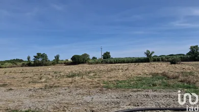 Land  in Pegões