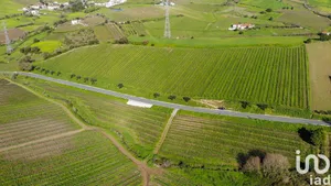 Farm land  in Carvoeira e Carmões