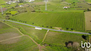 Farm land  in Carvoeira e Carmões