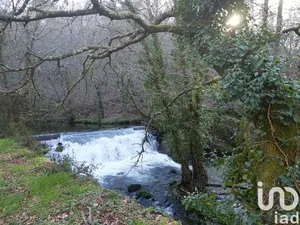 Land  at Santa Cruz da Trapa e São Cristóvão de Lafões