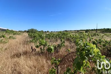 Land  in Silves