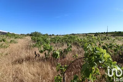 Fotografia 3 de Terreno de 5920 m² em Silves