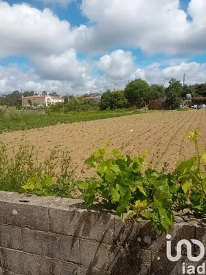 Terrain  à Pinheiro da Bemposta, Travanca e Palmaz