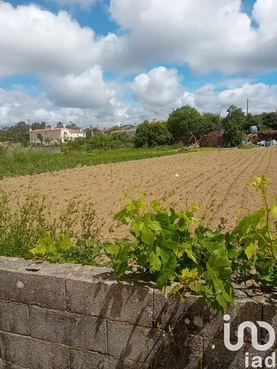 Terreno  em Pinheiro da Bemposta, Travanca e Palmaz