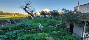 Terrain à Vila Nova da Baronia