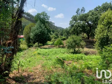 Terreno  em Graça