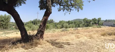Terrain  à Aranhas