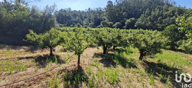 Land at Azueira e Sobral da Abelheira