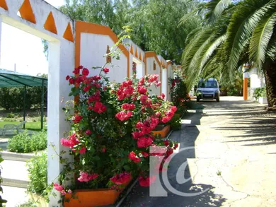Farm land  in Cabeça Gorda