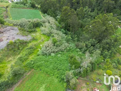 Land in São Jorge