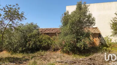 Casa de campo  em Ferreiras