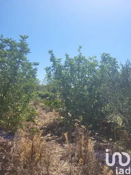 Terreno urbano  em Loulé (São Clemente)