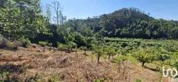 Land  in Azueira e Sobral da Abelheira
