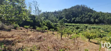 Terreno  em Azueira e Sobral da Abelheira