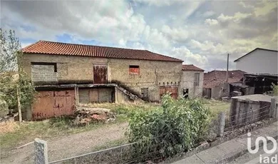 House at Algoso, Campo de Víboras e Uva