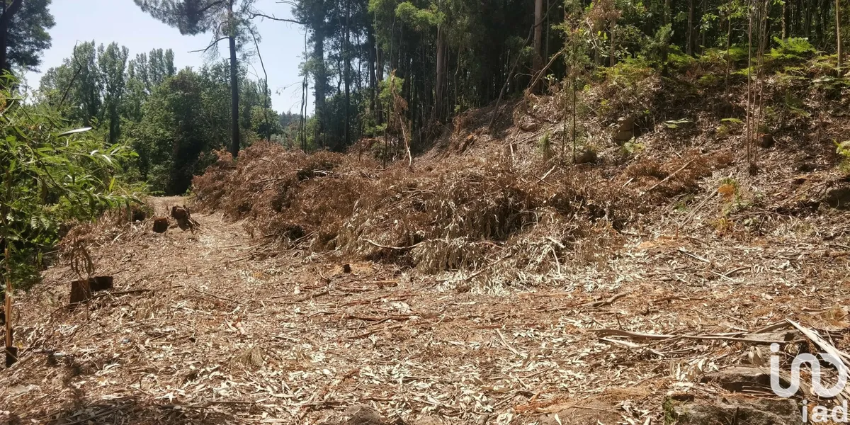 Terreno de 751 m² em Luzim e Vila Cova