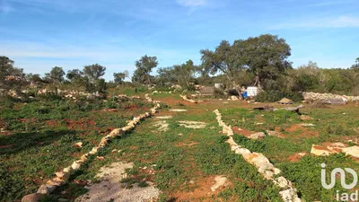 Fotografia 5 de Terreno de 9732 m² em Loulé (São Clemente)