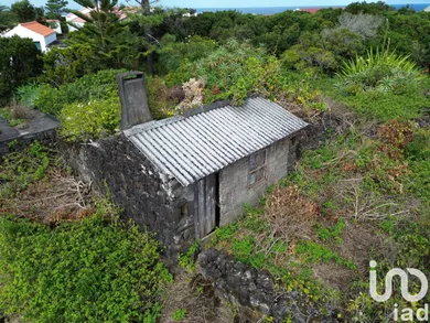 Traditional house  in Santo António
