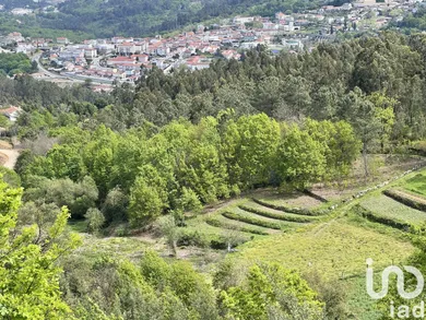 Land  in Vouzela e Paços de Vilharigues