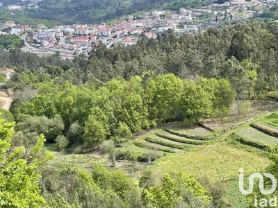 Fotografia 3 de Terreno de 28 000 m² em Vouzela e Paços de Vilharigues
