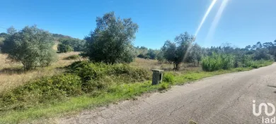 Terreno rústico  em Colmeias e Memória