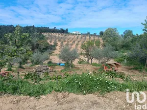 Land  at Mogadouro, Valverde, Vale de Porco e Vilar de Rei