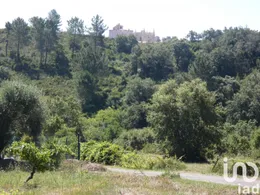 Terrain à batir  à Tomar (São João Baptista) e Santa Maria dos Olivais