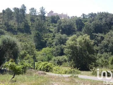 Building plot  in Tomar (São João Baptista) e Santa Maria dos Olivais