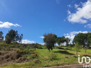 Land at Nossa Senhora da Piedade