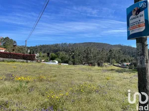 Land at Campo E Tamel (São Pedro Fins)