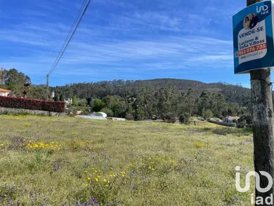 Terreno em Campo E Tamel (São Pedro Fins)