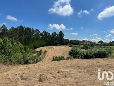 Land at Souto da Carpalhosa e Ortigosa