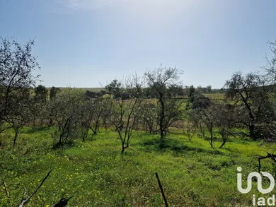 Terreno  em Santana de Cambas