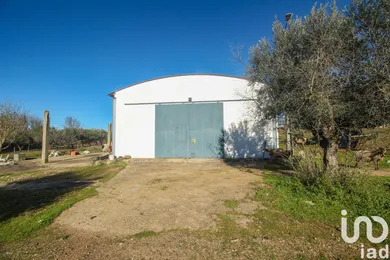 Farm at Ameixial (Santa Vitória e São Bento)