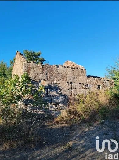 Farm land  in Seixo da Beira