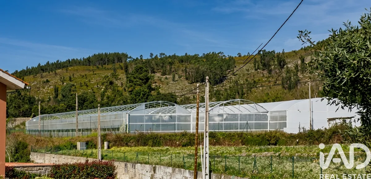 Terreno de 21 000 m² em Cerdal