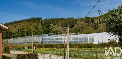 Terreno  em Cerdal