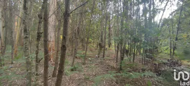 Land  in Lavradas