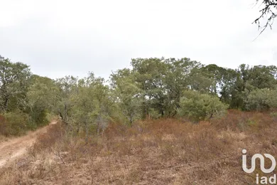 Terreno  em Areias e Pias