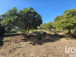 Land  in Palmela